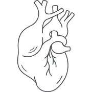 Increased risk of cardiovascular disease-related mortality