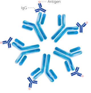RF immune complex