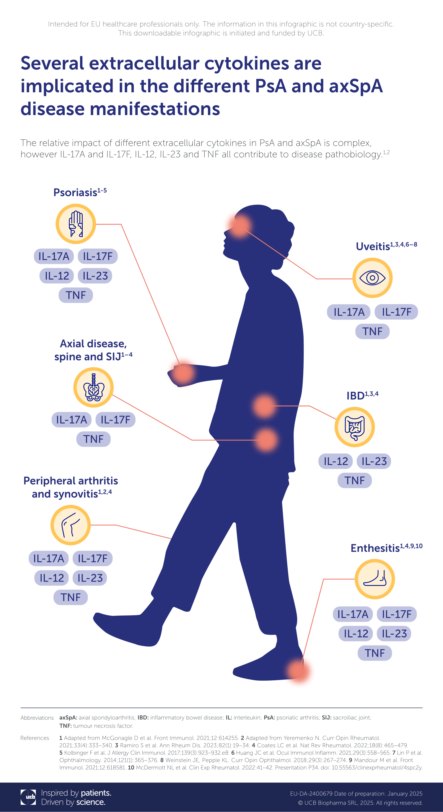 Cytokine Body Infographic Download_UCB MedHub-1.png