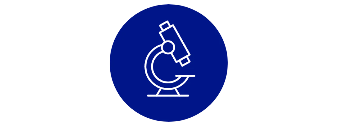 Image_Rheum5.png
