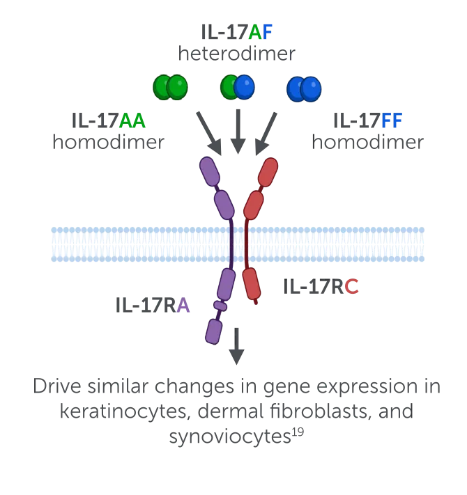 SVGs_Pathobiology Page_Desktop_Image.png