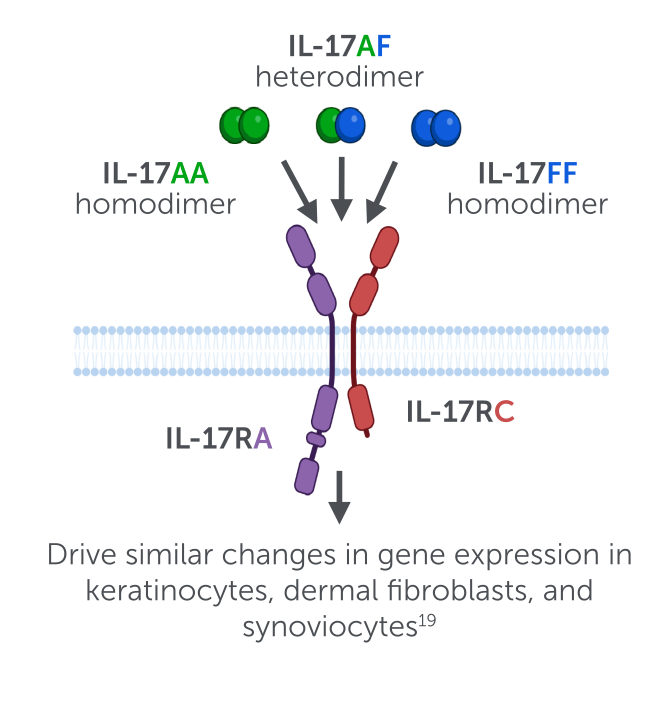 SVGs_Pathobiology Page_Desktop_Image.png